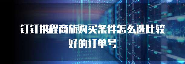 钉钉携程商旅购买条件怎么选比较好的订单号