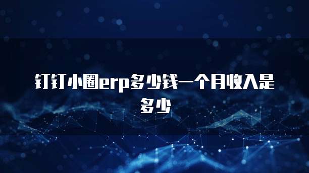 钉钉小圈ERP多少钱一个月收入是多少