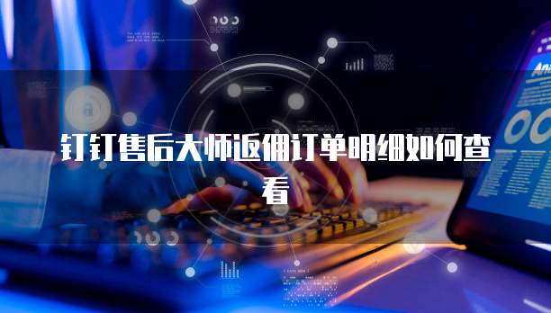 钉钉售后大师返佣订单明细如何查看