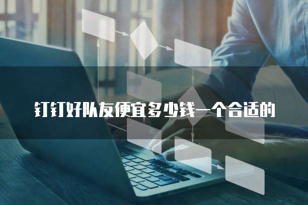 钉钉好队友便宜多少钱一个合适的
