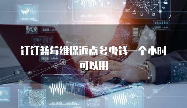 钉钉蓝莓维保返点多少钱一个小时可以用