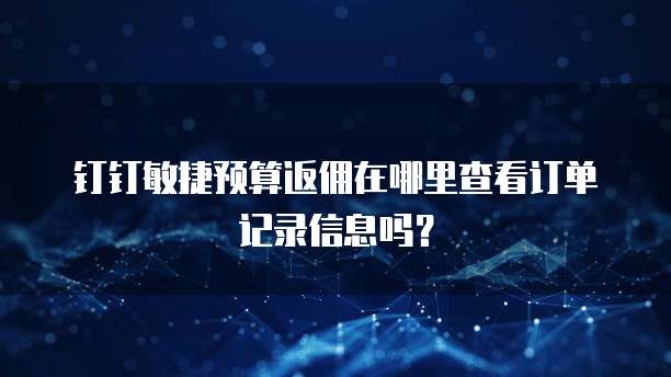 钉钉敏捷预算返佣在哪里查看订单记录信息吗？