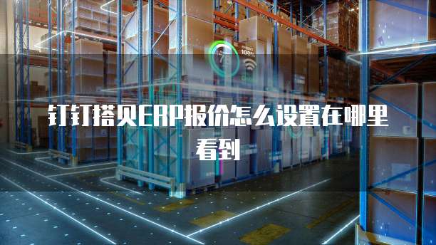钉钉搭贝ERP报价怎么设置在哪里看到