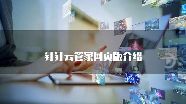 钉钉云管家网页版介绍