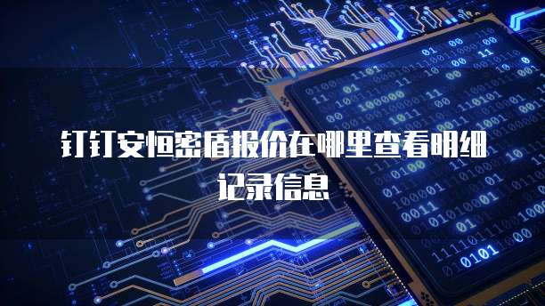 钉钉安恒密盾报价在哪里查看明细记录信息