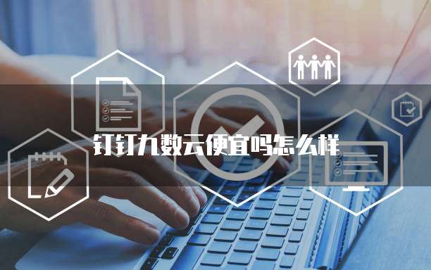 钉钉九数云便宜吗怎么样