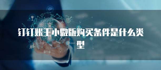 钉钉账王小微版购买条件是什么类型