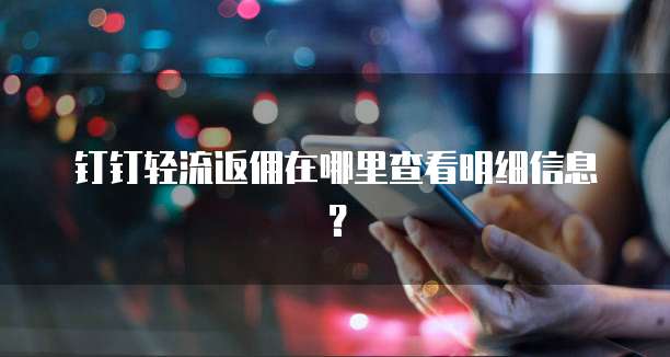 钉钉轻流返佣在哪里查看明细信息？