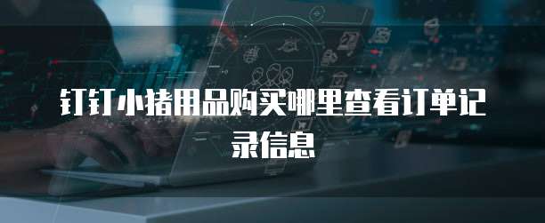 钉钉小猪用品购买哪里查看订单记录信息
