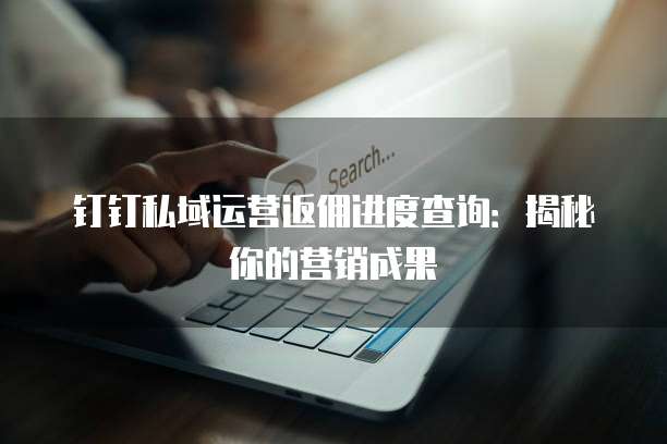 钉钉私域运营返佣进度查询：揭秘你的营销成果