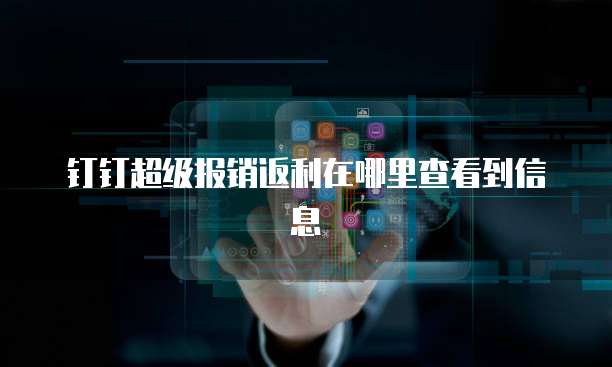 钉钉超级报销返利在哪里查看到信息
