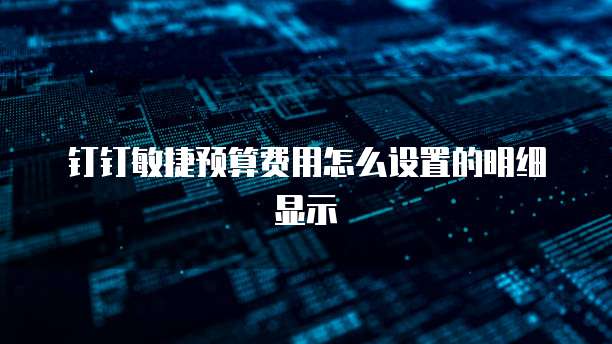 钉钉敏捷预算费用怎么设置的明细显示