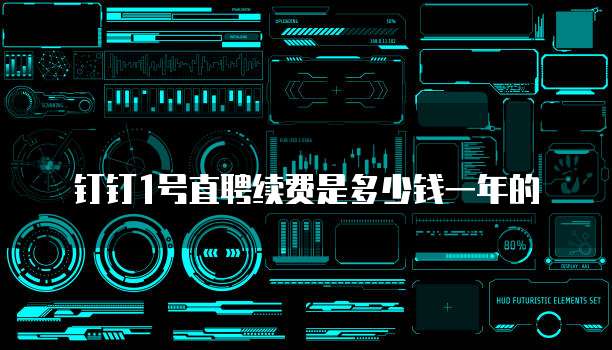 钉钉1号直聘续费是多少钱一年的