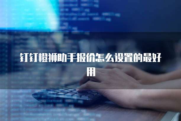 钉钉橙狮助手报价怎么设置的最好用
