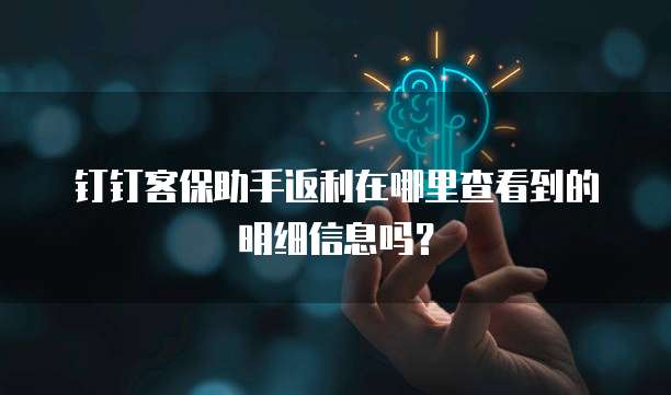 钉钉客保助手返利在哪里查看到的明细信息吗？
