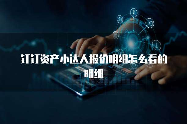 钉钉资产小达人报价明细怎么看的明细