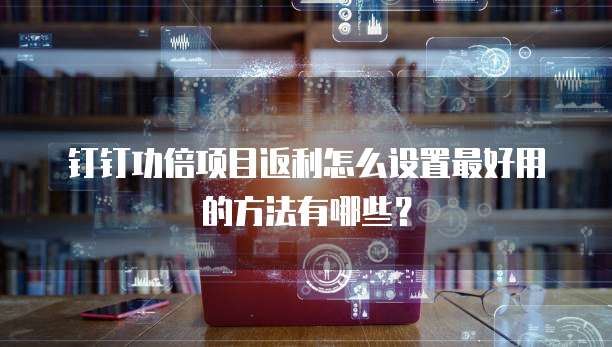 钉钉功倍项目返利怎么设置最好用的方法有哪些?
