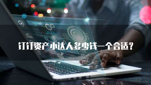 钉钉资产小达人多少钱一个合适？