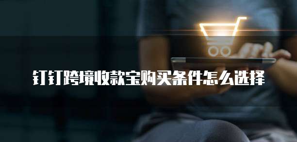 钉钉跨境收款宝购买条件怎么选择