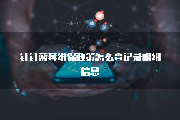 钉钉蓝莓维保政策怎么查记录明细信息