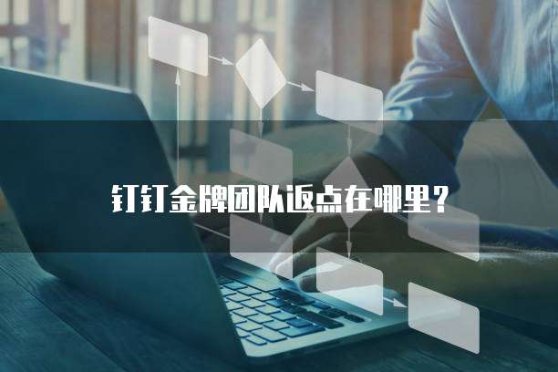 钉钉金牌团队返点在哪里?