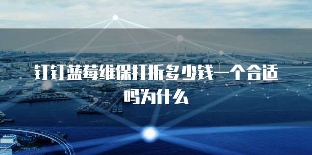 钉钉蓝莓维保打折多少钱一个合适吗为什么