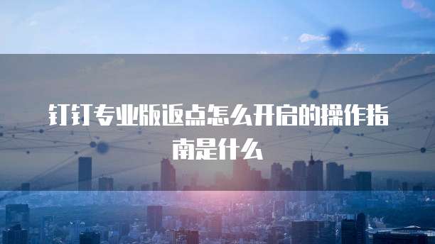 钉钉专业版返点怎么开启的操作指南是什么