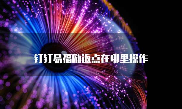 钉钉易福励返点在哪里操作