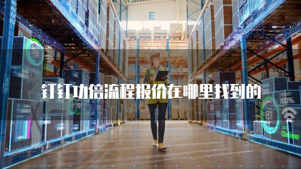 钉钉功倍流程报价在哪里找到的