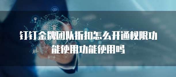 钉钉金牌团队折扣怎么开通权限功能使用功能使用吗