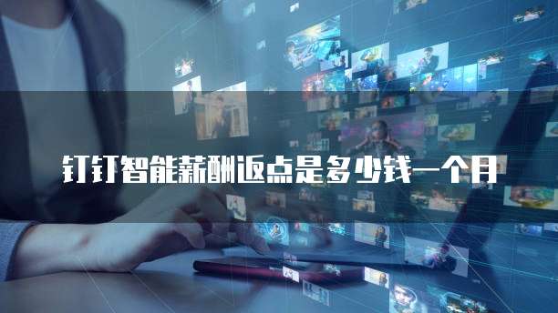 钉钉智能薪酬返点是多少钱一个月