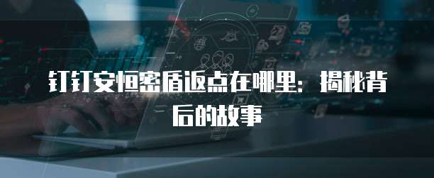 钉钉安恒密盾返点在哪里:揭秘背后的故事