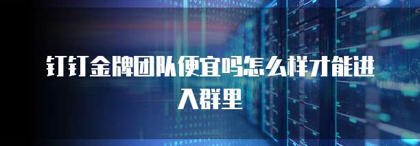 钉钉金牌团队便宜吗怎么样才能进入群里