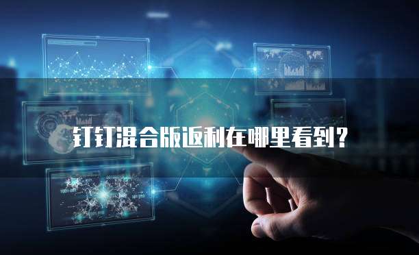钉钉混合版返利在哪里看到？