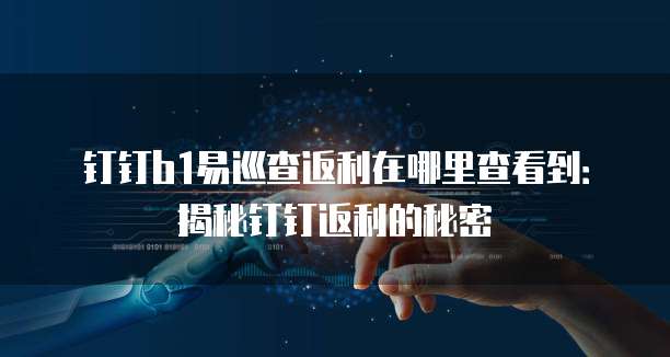 钉钉b1易巡查返利在哪里查看到:揭秘钉钉返利的秘密