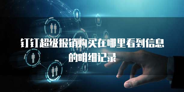钉钉超级报销购买在哪里看到信息的明细记录