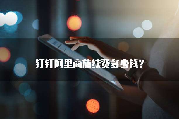 钉钉阿里商旅续费多少钱？