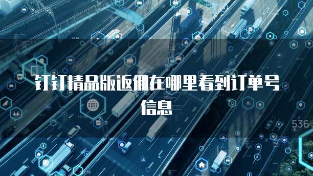 钉钉精品版返佣在哪里看到订单号信息