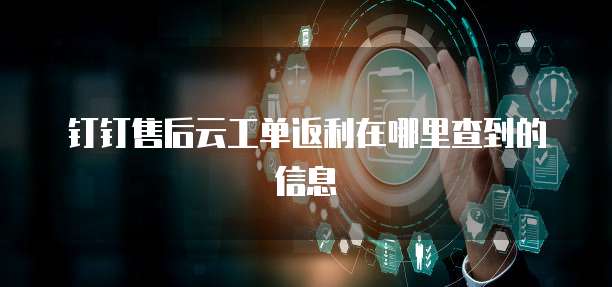 钉钉售后云工单返利在哪里查到的信息