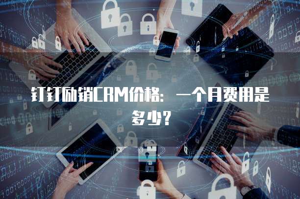 钉钉励销CRM价格：一个月费用是多少？