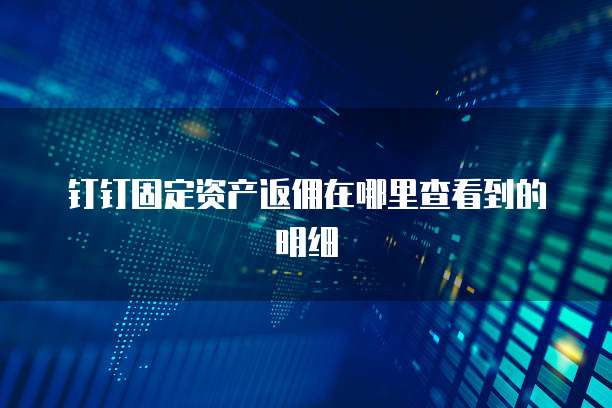 钉钉固定资产返佣在哪里查看到的明细