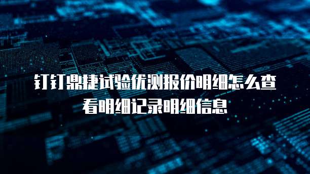 钉钉鼎捷试验优测报价明细怎么查看明细记录明细信息