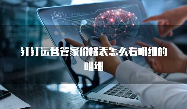 钉钉运营管家价格表怎么看明细的明细