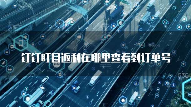 钉钉盯目返利在哪里查看到订单号