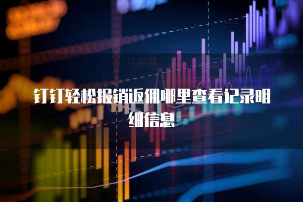 钉钉轻松报销返佣哪里查看记录明细信息