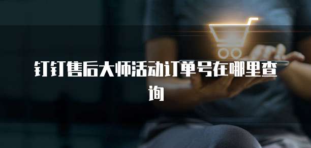钉钉售后大师活动订单号在哪里查询