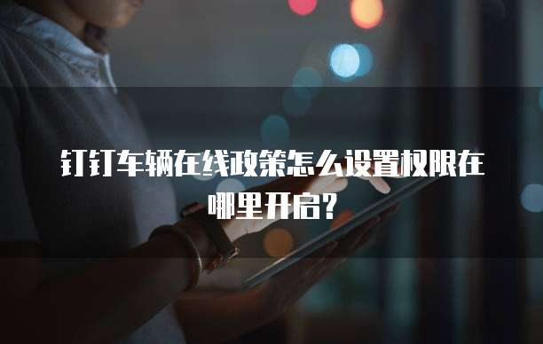 钉钉车辆在线政策怎么设置权限在哪里开启?