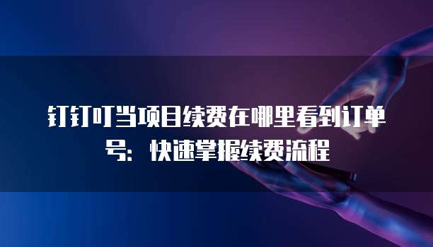 钉钉叮当项目续费在哪里看到订单号：快速掌握续费流程
