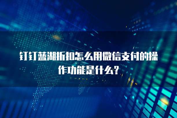 钉钉蓝湖折扣怎么用微信支付的操作功能是什么？