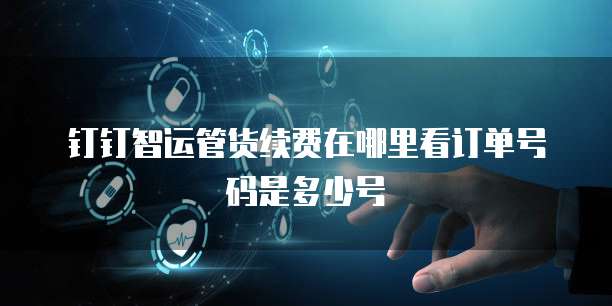 钉钉智运管货续费在哪里看订单号码是多少号